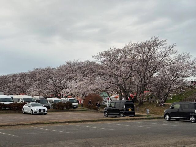 皆様、こんばんは。
EN HOTEL Iseでございます。

昨日4/2に伊勢の度会橋の河川敷の
宮川の桜🌸を見てきました。

ソメイヨシノが1000本植えられていて
圧巻でした。

雨☔が降っていたので、
少し残念ではあったけれど
とても綺麗でした。

昨日は、6分咲でした。

場所はJRの山田上口から徒歩10分です。

また良かったら、是非お立ち寄りくださいね。

-————————
#enhotelise
#en_journey
#enhotel #enise #newopen#newhotel#newopening#haveanicestay
#伊勢#三重#伊勢志摩#伊勢神宮 #ise#伊勢ホテル
#桜#宮川#綺麗#旅行好きな人と繋がりたい #ひとりっぷ#ビジネストリップ#一人旅#恋人旅行#家族旅行#enjoy#instagood #instalike #instalife #リブランドオープン
-————————