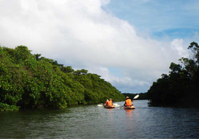 カヌーでのんびりと自然を満喫。