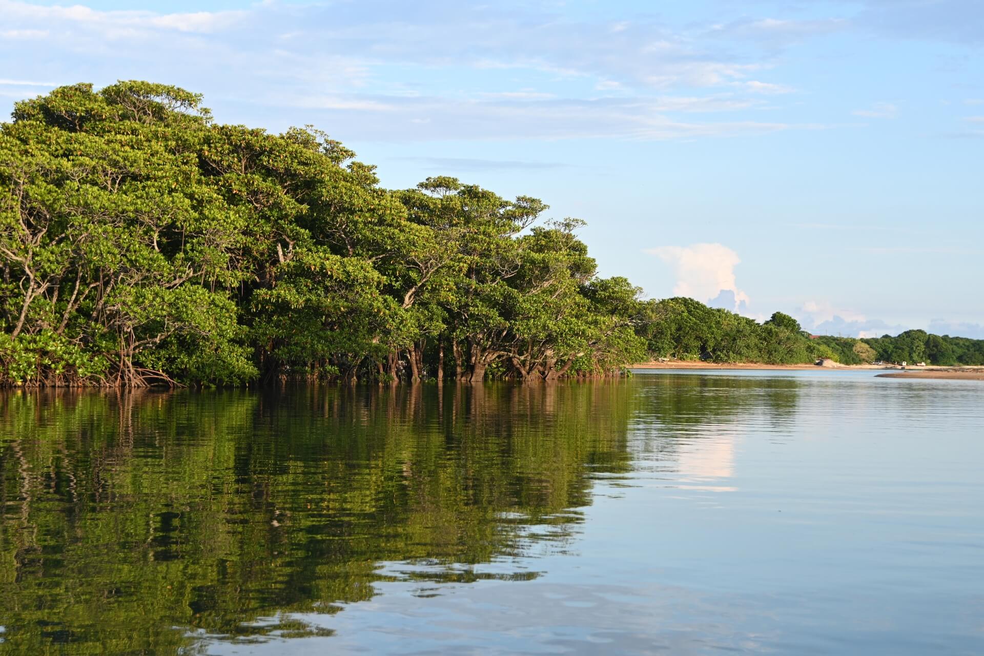石垣島の自然を満喫